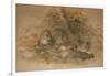 Clouded Leopard (Fleis Macrocelis)-Joseph Wolf-Framed Giclee Print