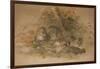 Clouded Leopard (Fleis Macrocelis)-Joseph Wolf-Framed Giclee Print