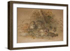 Clouded Leopard (Fleis Macrocelis)-Joseph Wolf-Framed Giclee Print