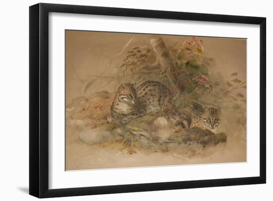 Clouded Leopard (Fleis Macrocelis)-Joseph Wolf-Framed Giclee Print