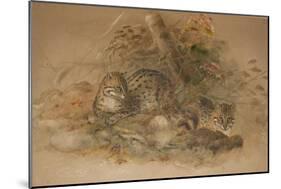 Clouded Leopard (Fleis Macrocelis)-Joseph Wolf-Mounted Giclee Print