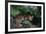 Clouded Leopard on Tree Branch-DLILLC-Framed Photographic Print