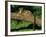 Clouded Leopard Resting on Log-null-Framed Photographic Print