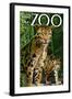 Clouded Leopard - Visit the Zoo-Lantern Press-Framed Art Print