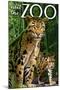 Clouded Leopard - Visit the Zoo-Lantern Press-Mounted Art Print