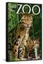 Clouded Leopard - Visit the Zoo-Lantern Press-Framed Stretched Canvas