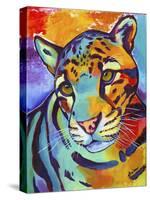 Clouded Leopard-Corina St. Martin-Stretched Canvas