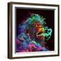 Clouded Monkey 1-null-Framed Art Print