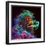 Clouded Monkey 1-null-Framed Art Print