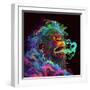 Clouded Monkey 1-null-Framed Art Print