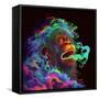 Clouded Monkey 1-null-Framed Stretched Canvas
