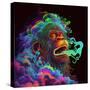 Clouded Monkey 1-null-Stretched Canvas