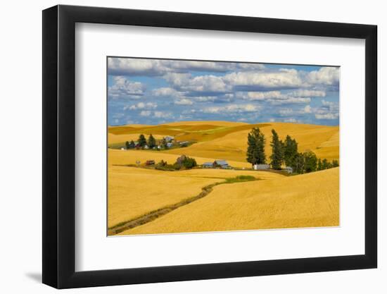 Clouds above farm house on wheat field, Palouse, eastern Washington State, USA-Keren Su-Framed Photographic Print