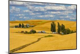 Clouds above farm house on wheat field, Palouse, eastern Washington State, USA-Keren Su-Mounted Photographic Print