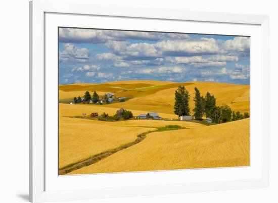 Clouds above farm house on wheat field, Palouse, eastern Washington State, USA-Keren Su-Framed Photographic Print