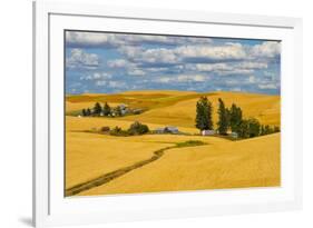 Clouds above farm house on wheat field, Palouse, eastern Washington State, USA-Keren Su-Framed Photographic Print