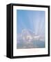 Framed Canvas