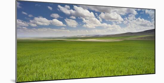 Clouds and Fields Close Konya, Anatolia, Turkey-Rainer Mirau-Mounted Photographic Print