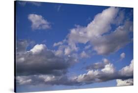 Clouds and Sky-DLILLC-Stretched Canvas