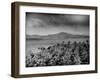 Clouds and Tropical Scenes in Puerto Rico and Santiago Island-Hansel Mieth-Framed Photographic Print