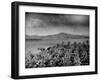 Clouds and Tropical Scenes in Puerto Rico and Santiago Island-Hansel Mieth-Framed Photographic Print