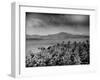 Clouds and Tropical Scenes in Puerto Rico and Santiago Island-Hansel Mieth-Framed Photographic Print