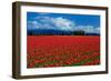 Clouds and Tulips-Howard Ruby-Framed Photographic Print