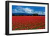 Clouds and Tulips-Howard Ruby-Framed Photographic Print