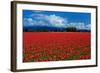 Clouds and Tulips-Howard Ruby-Framed Photographic Print