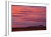 Clouds at sunset over wetland habitat, Whitewater Draw Wildlife Area, Arizona, USA-Bob Gibbons-Framed Photographic Print