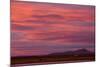 Clouds at sunset over wetland habitat, Whitewater Draw Wildlife Area, Arizona, USA-Bob Gibbons-Mounted Photographic Print