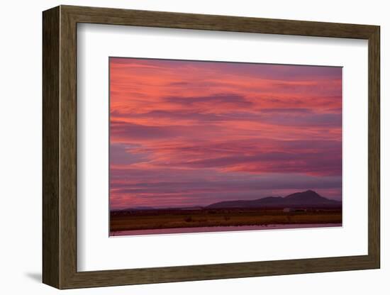 Clouds at sunset over wetland habitat, Whitewater Draw Wildlife Area, Arizona, USA-Bob Gibbons-Framed Photographic Print