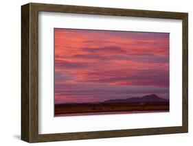 Clouds at sunset over wetland habitat, Whitewater Draw Wildlife Area, Arizona, USA-Bob Gibbons-Framed Photographic Print