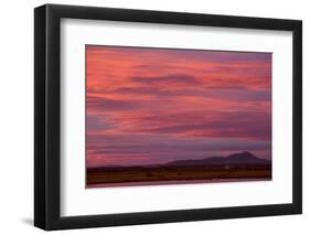 Clouds at sunset over wetland habitat, Whitewater Draw Wildlife Area, Arizona, USA-Bob Gibbons-Framed Photographic Print