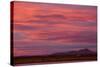 Clouds at sunset over wetland habitat, Whitewater Draw Wildlife Area, Arizona, USA-Bob Gibbons-Stretched Canvas