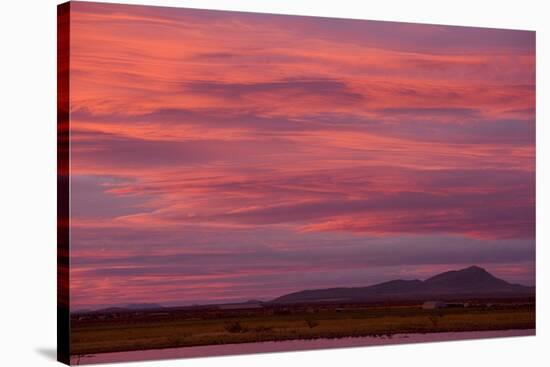 Clouds at sunset over wetland habitat, Whitewater Draw Wildlife Area, Arizona, USA-Bob Gibbons-Stretched Canvas