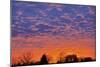 Clouds at sunset, Winnipeg, Manitoba, Canada.-Mike Grandmaison-Mounted Photographic Print