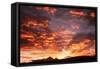 Clouds at Sunset-null-Framed Stretched Canvas