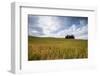 Clouds frame the gentle green hills of Val d'Orcia, UNESCO World Heritage Site, Province of Siena, -Roberto Moiola-Framed Photographic Print