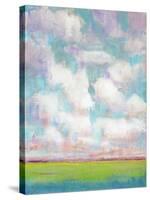 Clouds in Motion I-Tim OToole-Stretched Canvas