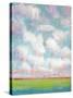 Clouds in Motion I-Tim OToole-Stretched Canvas