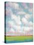 Clouds in Motion I-Tim OToole-Stretched Canvas