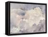Clouds in Neutral I-Jennifer Parker-Framed Stretched Canvas