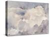 Clouds in Neutral I-Jennifer Parker-Stretched Canvas