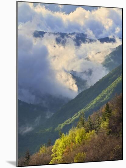 Clouds in Oconaluftee Valley at Sunrise, Great Smoky Mountains National Park, North Carolina, Usa-Adam Jones-Mounted Photographic Print