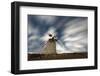 Clouds in the starry sky over a traditional windmill, La Oliva, Fuerteventura, Canary Islands-Roberto Moiola-Framed Photographic Print