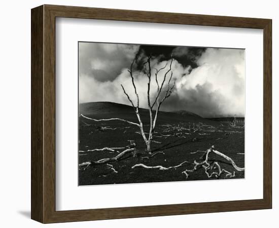 Clouds, Lava, Tree, Hawaii, 1978-Brett Weston-Framed Photographic Print