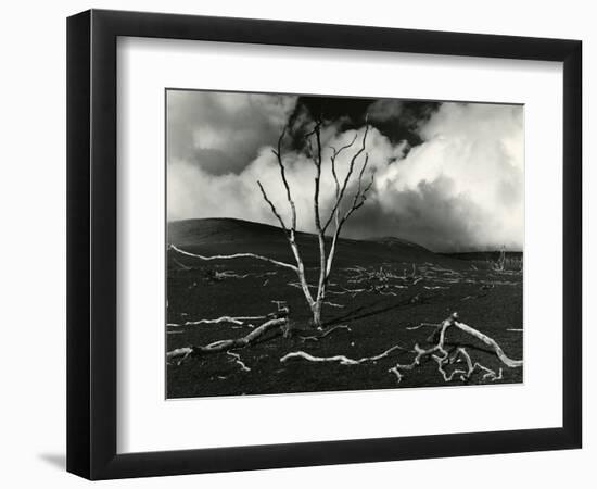 Clouds, Lava, Tree, Hawaii, 1978-Brett Weston-Framed Photographic Print