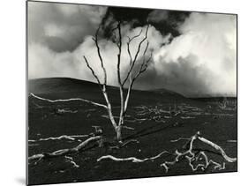 Clouds, Lava, Tree, Hawaii, 1978-Brett Weston-Mounted Photographic Print