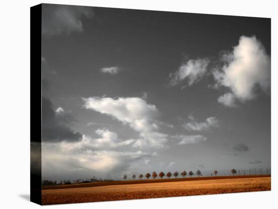 Clouds Lover-Philippe Sainte-Laudy-Stretched Canvas